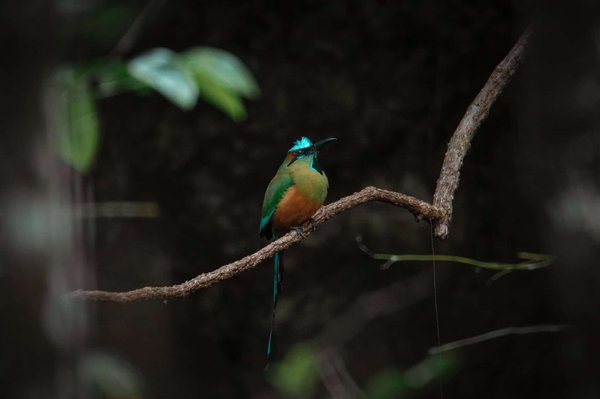 Les clés du succès pour un team building mémorable et efficace